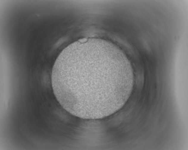 X0000113031446200910081210