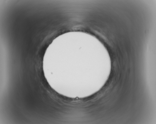 X0000113031447200910081210