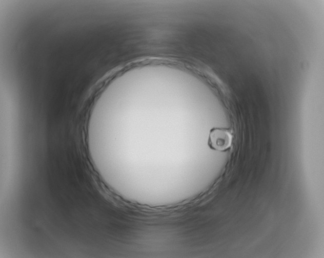 X0000113031448200910081210