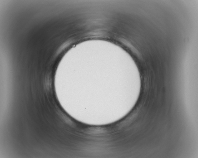 X0000113031450200910081210