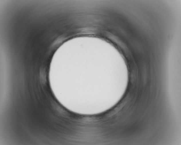 X0000113031451200910081210