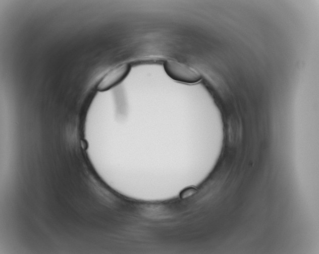 X0000113031452200910081210