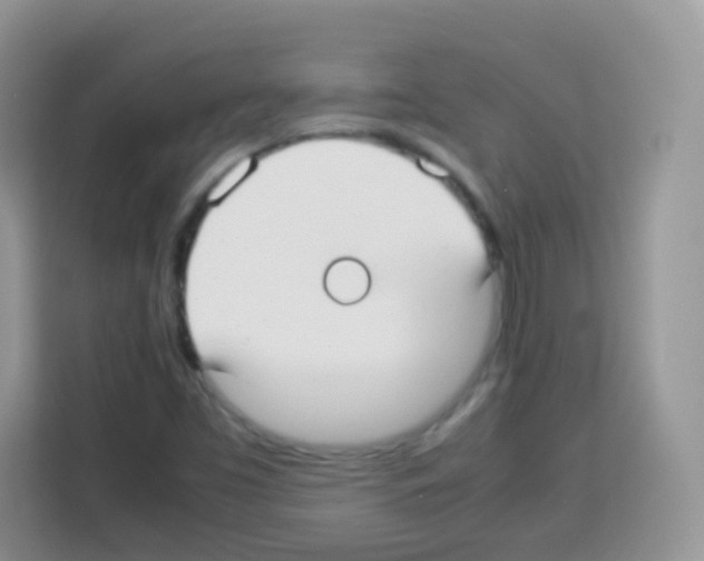 X0000113031453200910081210