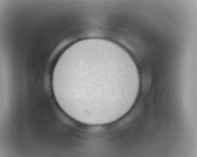 X0000113031454200910081210