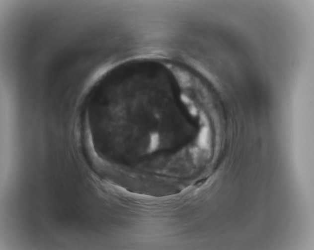 X0000113031455200910081210