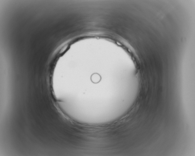 X0000113031456200910081210