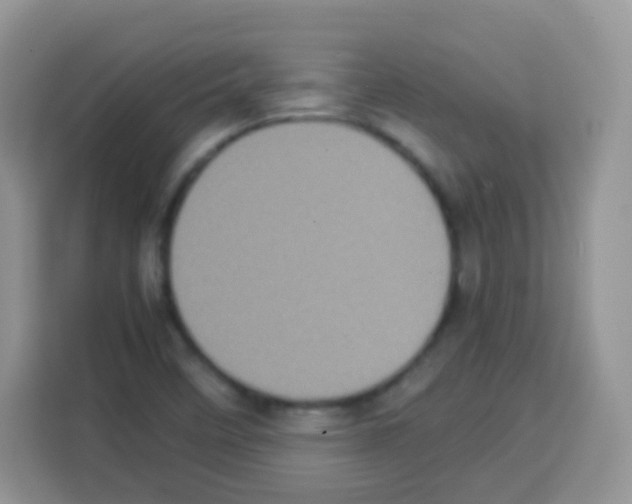 X0000113031458200910081210