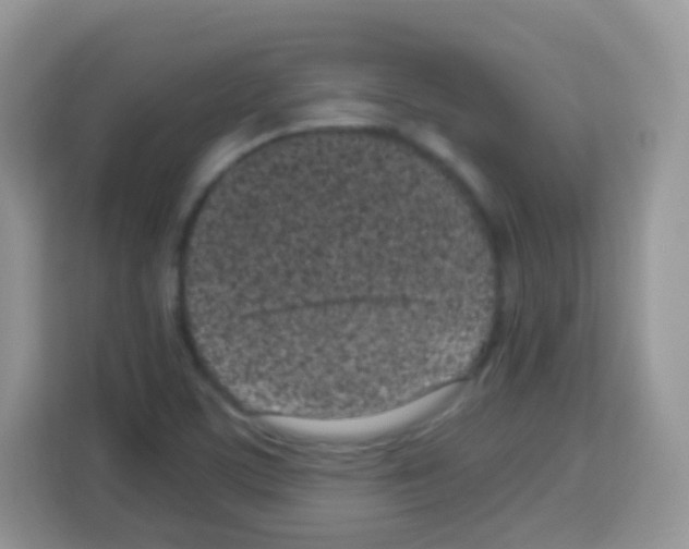 X0000113031459200910081210