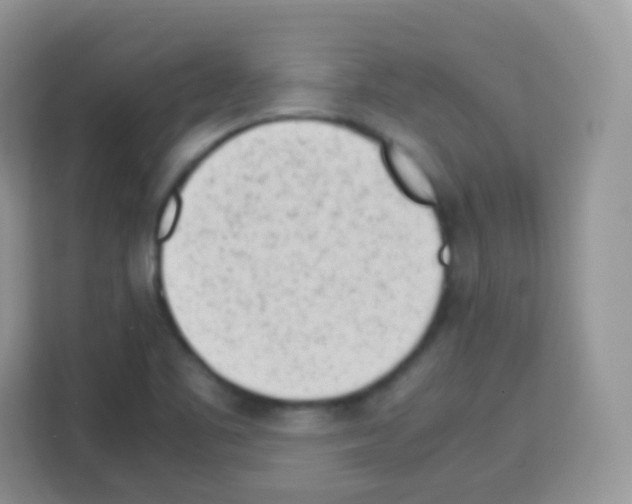 X0000113031461200910081210