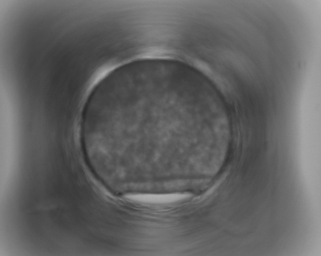 X0000113031463200910081210