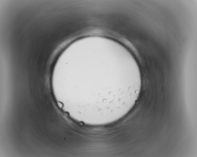 X0000113031464200910081210