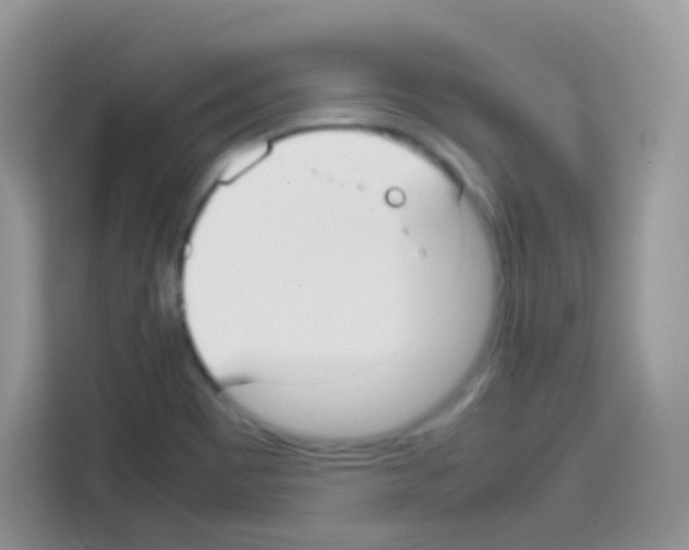 X0000113031465200910081210