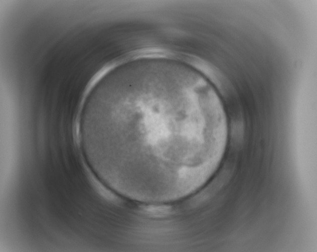 X0000113031466200910081210