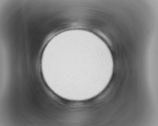 X0000113031467200910081210