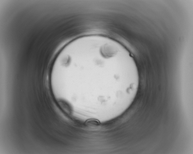 X0000113031468200910081210