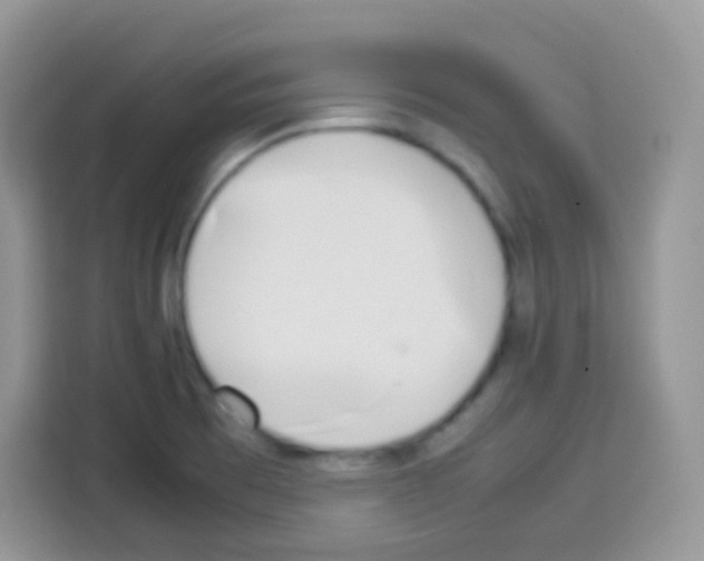 X0000113031473200910081210