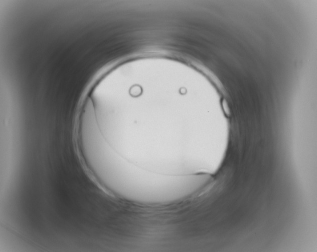 X0000113031477200910081210