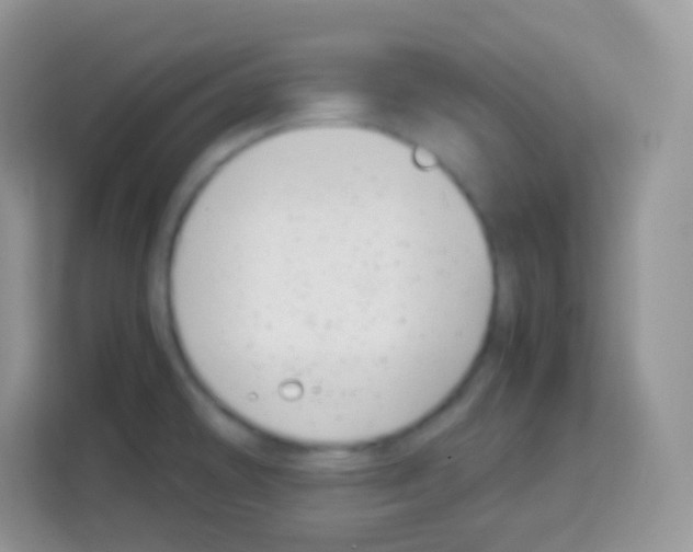 X0000113031478200910081210