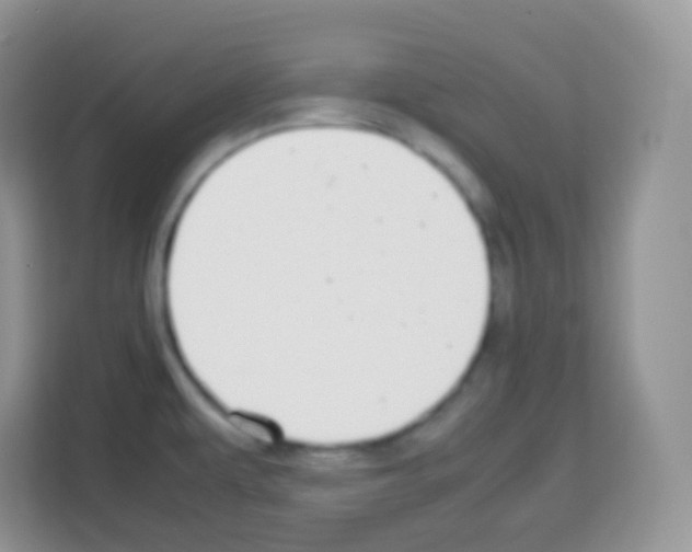 X0000113031479200910081210