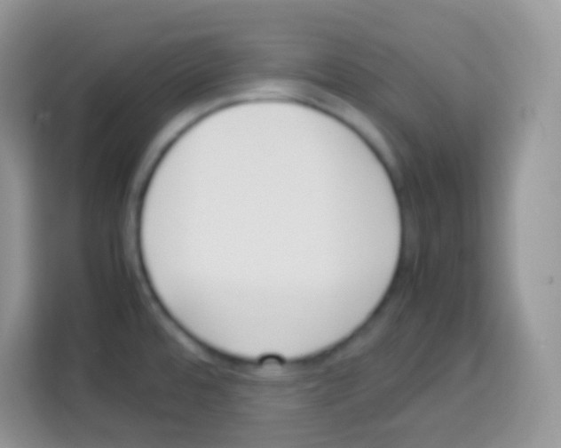 X0000113031480200910081210