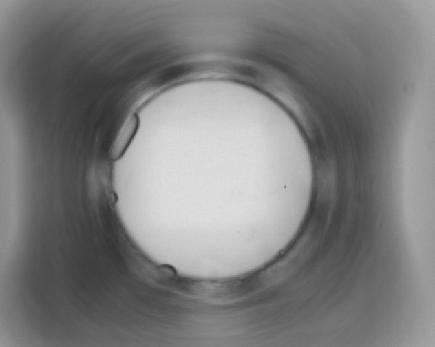 X0000113031481200910081210