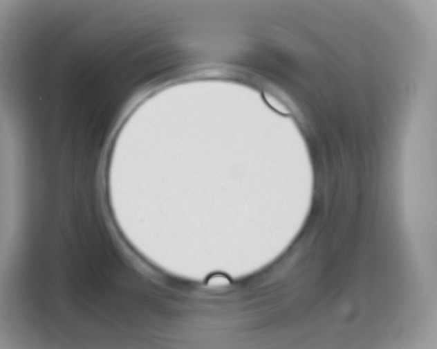 X0000113031483200910081210