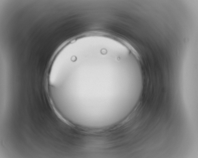 X0000113031484200910081210