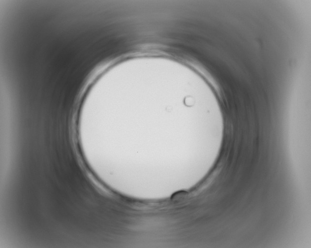 X0000113031485200910081210