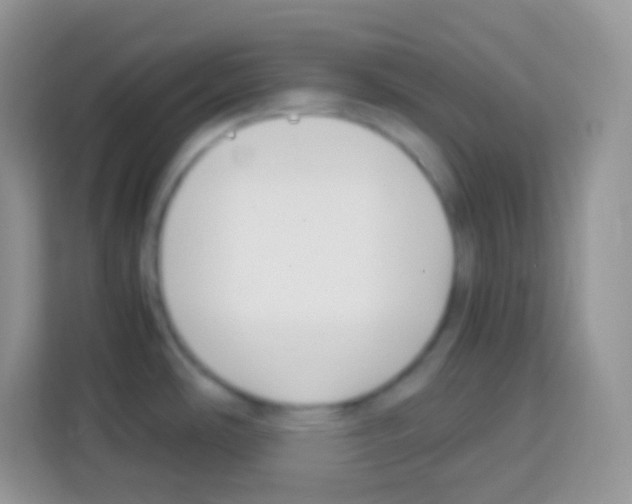 X0000113031486200910081210