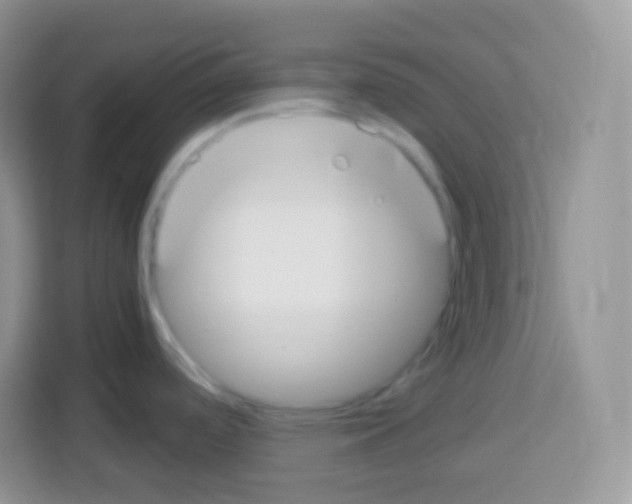 X0000113031488200910081210