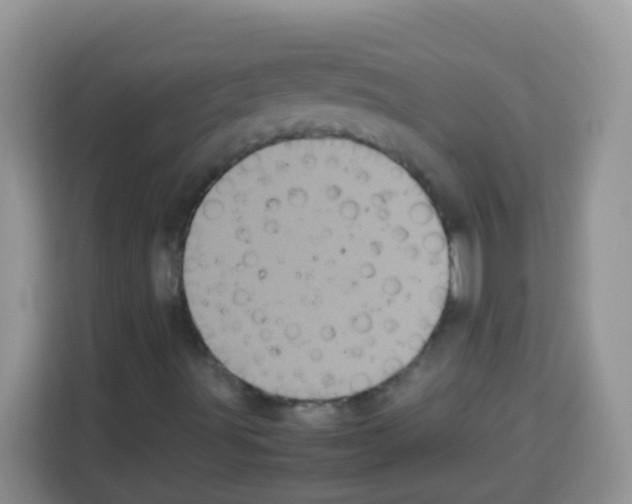 X0000113031491200910081209