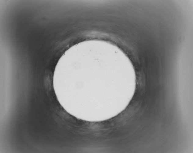 X0000113031493200910081209