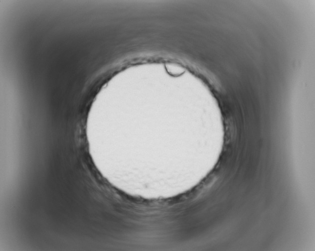 X0000113031494200910081209