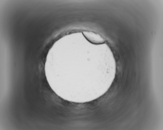 X0000113031495200910081209