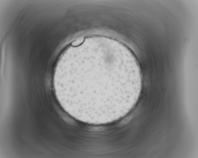 X0000113031499200910081209