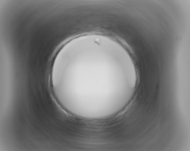 X0000113031500200910081209