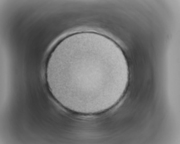 X0000113031502200910081209