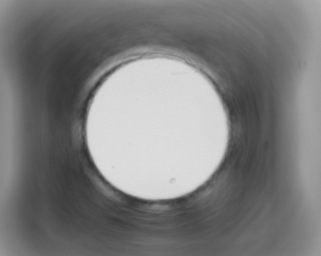 X0000113031503200910081209