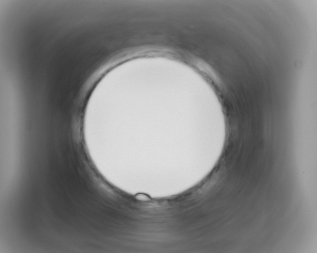 X0000113031504200910081209