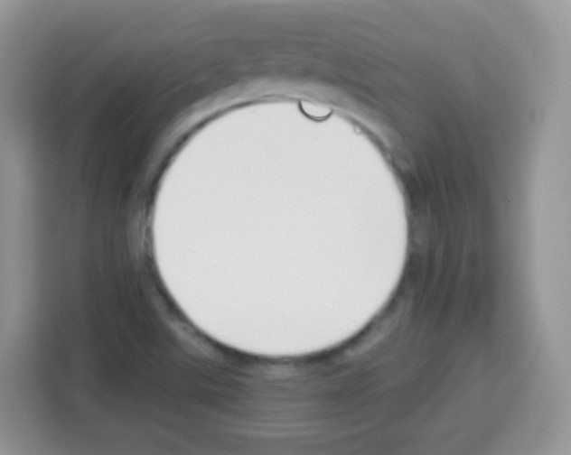 X0000113031507200910081209