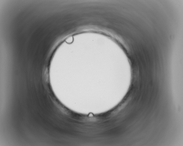 X0000113031509200910081209