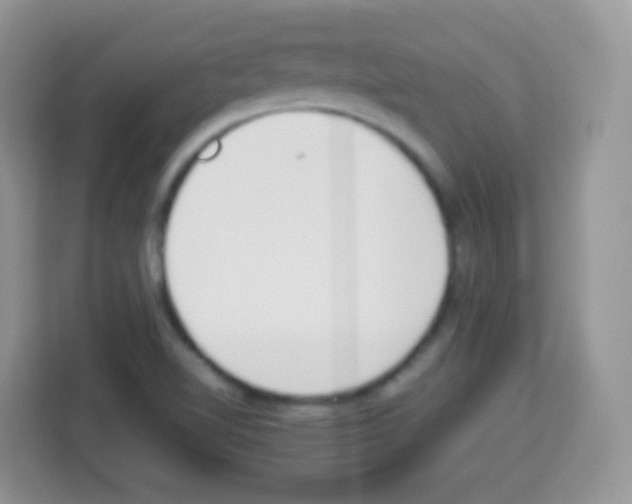 X0000113031510200910081209