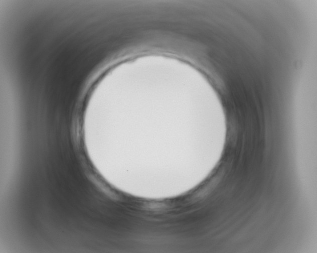 X0000113031511200910081209