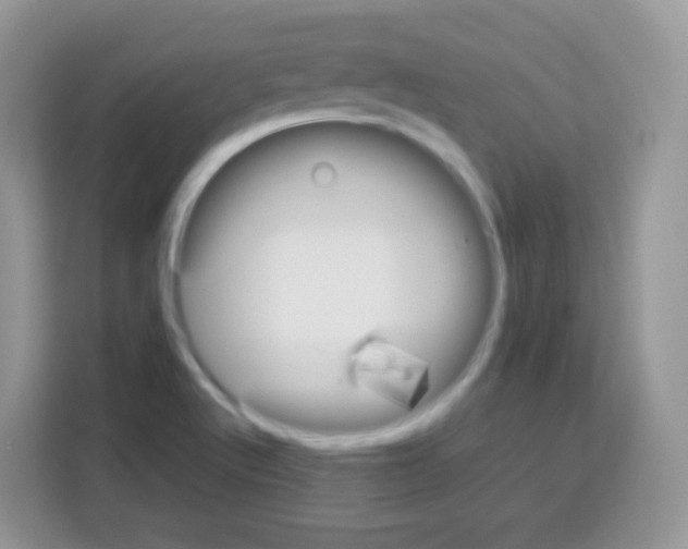 X0000113031512200910081209