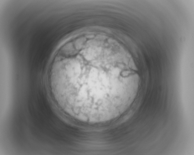 X0000113031514200910081209