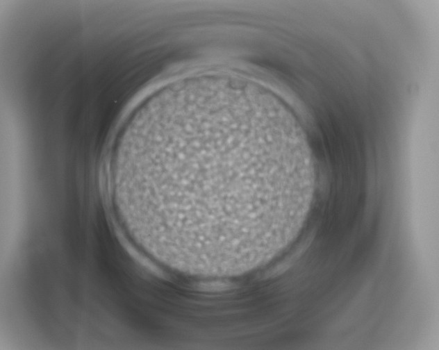 X0000113031515200910081209