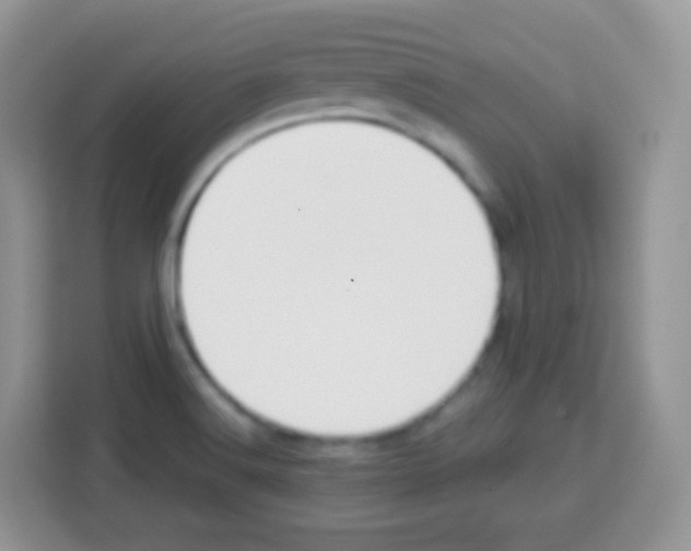 X0000113031516200910081209