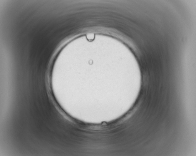 X0000113031517200910081209