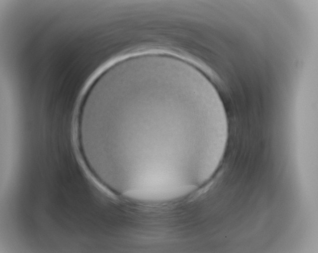 X0000113031518200910081209