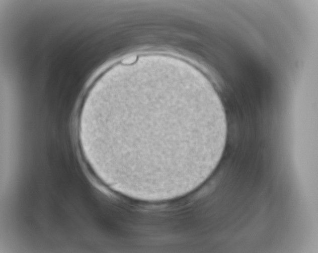 X0000113031519200910081209